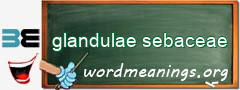 WordMeaning blackboard for glandulae sebaceae